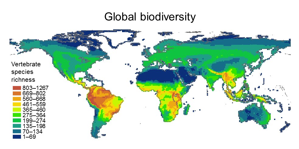 Macroecology BIOMAC